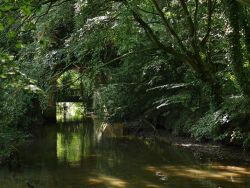 Claythorpe Mill 3